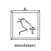 Zum Bild: 'Abendamsel' 