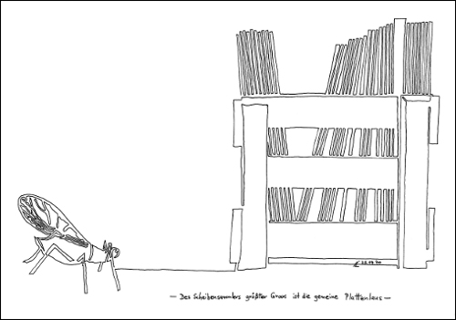 Des Scheibensammlers gr&ouml;&szlig;ter Graus ist die gemeine Plattenlaus