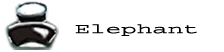 Hier geht's zu den Galerien von 'The Elephant'